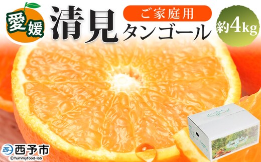 ＜愛媛県西予市産 清見タンゴール ご家庭用 約4kg＞ 訳あり ワケアリ 果物 フルーツ みかん ミカン 蜜柑 オレンジ きよみ キヨミ 柑橘類 食べて応援 旬 特産品 宇都宮物産 愛媛県 西予市【常温】『2026年3月上旬～5月上旬迄に順次出荷予定』