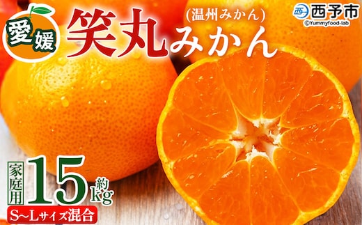 ＜愛媛県明浜産 笑丸みかん（温州みかん）約15kg S～L混合＞ 家庭用 訳あり ワケアリ 果物 くだもの フルーツ ミカン 柑橘 特産品 笑丸 愛媛県 西予市【常温】『2026年11月中旬～2027年1月上旬迄に順次出荷予定』