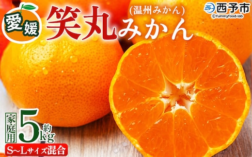 ＜愛媛県明浜産 笑丸みかん（温州みかん）約5kg S～L混合＞ 家庭用 訳あり ワケアリ 果物 くだもの フルーツ ミカン 柑橘 特産品 笑丸 愛媛県 西予市【常温】『2026年11月中旬～2027年1月上旬迄に順次出荷予定』