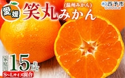 ＜愛媛県明浜産 笑丸みかん（温州みかん）約15kg S～L混合＞ 家庭用 訳あり ワケアリ 果物 くだもの フルーツ ミカン 柑橘 特産品 笑丸 愛媛県 西予市【常温】『2026年11月中旬～2027年1月上旬迄に順次出荷予定』
