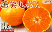 ＜愛媛県明浜産 笑丸みかん（温州みかん）約5kg S～L混合＞ 家庭用 訳あり ワケアリ 果物 くだもの フルーツ ミカン 柑橘 特産品 笑丸 愛媛県 西予市【常温】『2026年11月中旬～2027年1月上旬迄に順次出荷予定』