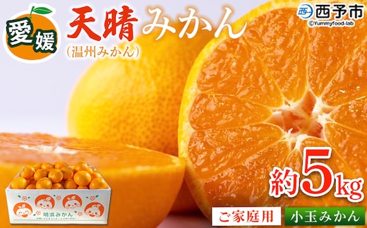 ＜愛媛県明浜産 天晴みかん（温州みかん）約5kg 小玉サイズ＞ 家庭用 訳あり ワケアリ 果物 くだもの フルーツ ミカン 柑橘 特産品 笑丸 愛媛県 西予市【常温】『2026年11月中旬～2027年1月上旬迄に順次出荷予定』