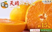 ＜愛媛県明浜産 天晴みかん（温州みかん）約15kg 小玉サイズ＞ 家庭用 訳あり ワケアリ 果物 くだもの フルーツ ミカン 柑橘 特産品 笑丸 愛媛県 西予市【常温】『2026年11月中旬～2027年1月上旬迄に順次出荷予定』
