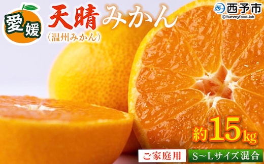 ＜愛媛県明浜産 天晴みかん（温州みかん）約15kg S～L混合＞ 家庭用 訳あり ワケアリ 果物 くだもの フルーツ ミカン 柑橘 特産品 笑丸 愛媛県 西予市【常温】『2026年11月中旬～2027年1月上旬迄に順次出荷予定』