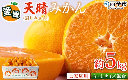 ＜愛媛県明浜産 天晴みかん（温州みかん）約5kg S～L混合＞ 家庭用 訳あり ワケアリ 果物 くだもの フルーツ ミカン 柑橘 特産品 笑丸 愛媛県 西予市【常温】『2026年11月中旬～2027年1月上旬迄に順次出荷予定』