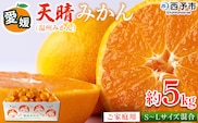 ＜愛媛県明浜産 天晴みかん（温州みかん）約5kg S～L混合＞ 家庭用 訳あり ワケアリ 果物 くだもの フルーツ ミカン 柑橘 特産品 笑丸 愛媛県 西予市【常温】『2026年11月中旬～2027年1月上旬迄に順次出荷予定』