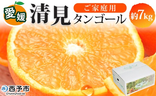 ＜愛媛県西予市産 清見タンゴール ご家庭用 約7kg＞ 訳あり ワケアリ 果物 フルーツ みかん ミカン 蜜柑 オレンジ きよみ キヨミ 柑橘類 食べて応援 旬 特産品 宇都宮物産 愛媛県 西予市【常温】『2026年3月上旬～5月上旬迄に順次出荷予定』