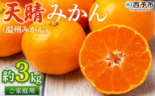 ＜愛媛県明浜産 天晴みかん（温州みかん）約3kg＞ 家庭用 訳あり ワケアリ 自宅用 果物 くだもの フルーツ ミカン 柑橘 食べて応援 特産品 産地直送 愛媛県 西予市【常温】