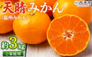 ＜愛媛県明浜産 天晴みかん（温州みかん）約3kg＞ 家庭用 訳あり ワケアリ 自宅用 果物 くだもの フルーツ ミカン 柑橘 食べて応援 特産品 産地直送 愛媛県 西予市【常温】