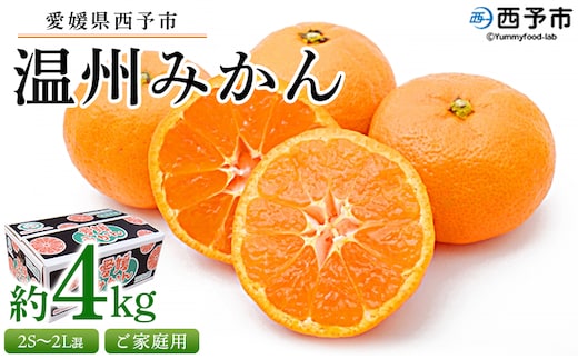 先行予約受付 ＜愛媛県西予市産 温州みかん ご家庭用 約4kg＞ 訳あり わけあり 果物 フルーツ みかん ミカン 蜜柑 オレンジ 柑橘 甘い あまい おいしい 美味しい 食べて応援 特産品 宇都宮物産 愛媛県 西予市【常温】