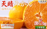 ＜愛媛県明浜産 天晴みかん（温州みかん）約5kg＞ 訳あり ミカン 蜜柑 果物 フルーツ オレンジ 柑橘 期間限定 季節限定 食べて応援 特産品 産地直送 愛媛県 西予市【常温】