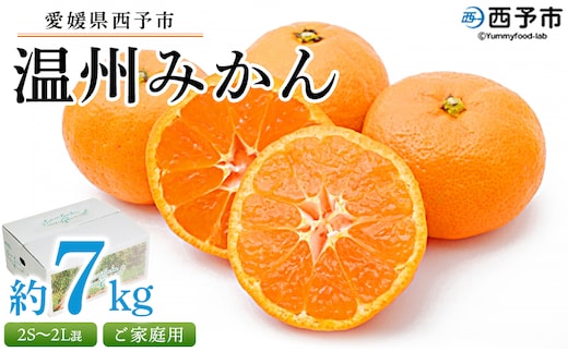 ＜愛媛県西予市産 温州みかん ご家庭用 約7kg＞ 訳あり わけあり 果物 フルーツ みかん ミカン 蜜柑 オレンジ 柑橘 甘い あまい おいしい 美味しい 食べて応援 特産品 宇都宮物産 愛媛県 西予市【常温】
