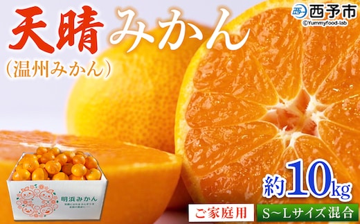 ＜愛媛県明浜産 天晴みかん（温州みかん）約10kg S～L混合＞ 家庭用 訳あり ワケアリ 果物 くだもの フルーツ ミカン 柑橘 特産品 笑丸 愛媛県 西予市【常温】『2025年11月中旬～2026年1月上旬迄に順次出荷予定』