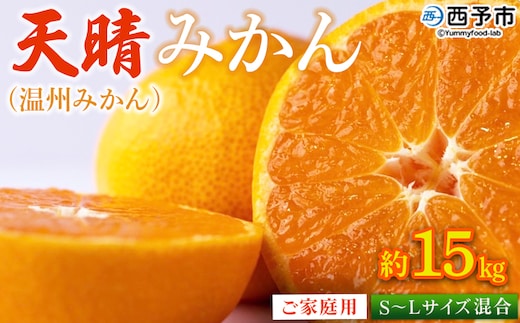 ＜愛媛県明浜産 天晴みかん（温州みかん）約15kg S～L混合＞ 家庭用 訳あり ワケアリ 果物 くだもの フルーツ ミカン 柑橘 特産品 笑丸 愛媛県 西予市【常温】『2025年11月中旬～2026年1月上旬迄に順次出荷予定』