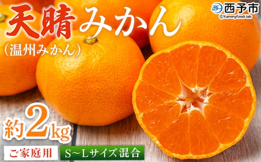 ＜愛媛県明浜産 天晴みかん（温州みかん）約2kg S～L混合＞ 家庭用 訳あり ワケアリ 果物 くだもの フルーツ ミカン 柑橘 特産品 笑丸 愛媛県 西予市【常温】『2025年11月中旬～2026年1月上旬迄に順次出荷予定』