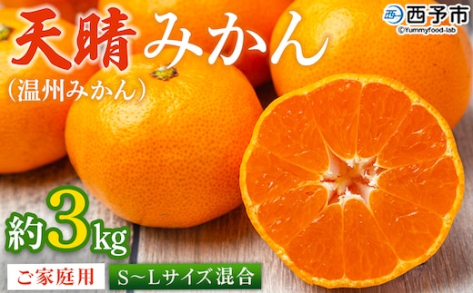 ＜愛媛県明浜産 天晴みかん（温州みかん）約3kg S～L混合＞ 家庭用 訳あり ワケアリ 果物 くだもの フルーツ ミカン 柑橘 特産品 笑丸 愛媛県 西予市【常温】『2025年11月中旬～2026年1月上旬迄に順次出荷予定』