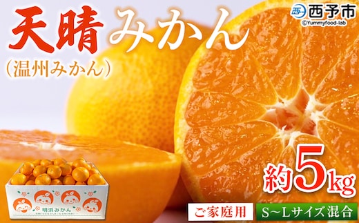 ＜愛媛県明浜産 天晴みかん（温州みかん）約5kg S～L混合＞ 家庭用 訳あり ワケアリ 果物 くだもの フルーツ ミカン 柑橘 特産品 笑丸 愛媛県 西予市【常温】『2025年11月中旬～2026年1月上旬迄に順次出荷予定』