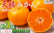 ＜愛媛県明浜産 天晴みかん（温州みかん）約3kg S～L混合＞ 家庭用 訳あり ワケアリ 果物 くだもの フルーツ ミカン 柑橘 特産品 笑丸 愛媛県 西予市【常温】『2025年11月中旬～2026年1月上旬迄に順次出荷予定』