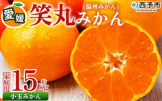 ＜愛媛県明浜産 笑丸みかん（温州みかん）約15kg 小玉サイズ＞ 家庭用 訳あり ワケアリ 果物 くだもの フルーツ ミカン 柑橘 特産品 笑丸 愛媛県 西予市【常温】『2026年11月中旬～2027年1月上旬迄に順次出荷予定』