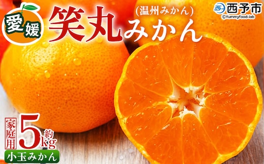 ＜愛媛県明浜産 笑丸みかん（温州みかん）約5kg 小玉サイズ＞ 家庭用 訳あり ワケアリ 果物 くだもの フルーツ ミカン 柑橘 特産品 笑丸 愛媛県 西予市【常温】『2026年11月中旬～2027年1月上旬迄に順次出荷予定』