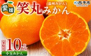 ＜愛媛県明浜産 笑丸みかん（温州みかん）約10kg 小玉サイズ＞ 家庭用 訳あり ワケアリ 果物 くだもの フルーツ ミカン 柑橘 特産品 笑丸 愛媛県 西予市【常温】『2026年11月中旬～2027年1月上旬迄に順次出荷予定』