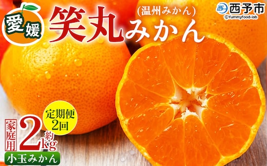 ＜愛媛県明浜産 笑丸みかん（温州みかん）定期便2回 約2kg 小玉サイズ＞ 家庭用 訳あり ワケアリ 果物 くだもの フルーツ ミカン 柑橘 特産品 笑丸 愛媛県 西予市【常温】『2026年11月頃に第1回目順次出荷予定』