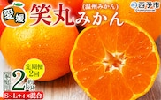 ＜愛媛県明浜産 笑丸みかん（温州みかん）定期便2回 約2kg S～L混合＞ 家庭用 訳あり ワケアリ 果物 くだもの フルーツ ミカン 柑橘 特産品 笑丸 愛媛県 西予市【常温】『2026年11月頃に第1回目順次出荷予定』