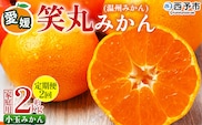 ＜愛媛県明浜産 笑丸みかん（温州みかん）定期便2回 約2kg 小玉サイズ＞ 家庭用 訳あり ワケアリ 果物 くだもの フルーツ ミカン 柑橘 特産品 笑丸 愛媛県 西予市【常温】『2026年11月頃に第1回目順次出荷予定』