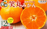 ＜愛媛県明浜産 笑丸みかん（温州みかん）定期便3回 約2kg 小玉サイズ＞ 家庭用 訳あり ワケアリ 果物 くだもの フルーツ ミカン 柑橘 特産品 笑丸 愛媛県 西予市【常温】『2026年11月頃に第1回目順次出荷予定』