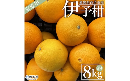 ＜愛媛県西予市産 伊予柑 家庭用 約8kg＞ 訳あり ワケアリ 自宅用 果物 くだもの ミカン 柑橘 フルーツ いよかん イヨカン 特産品 産地直送 段畑みかん 愛媛県 西予市【常温】『2026年1月上旬～1月末迄に順次出荷予定』