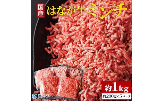 はなが牛 ミンチ 1㎏ （200gｘ5p）