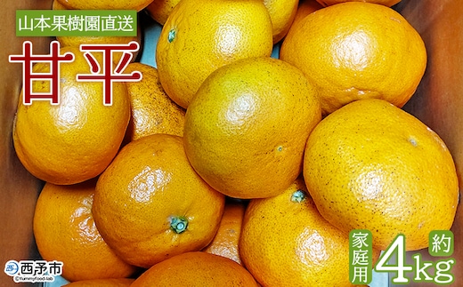 ＜甘平 約4kg 家庭用＞ 果物 くだもの オレンジ フルーツ かんぺい カンペイ 柑橘 みかん ミカン 蜜柑 季節限定 期間限定 食べて応援 特産品 産地直送 山本果樹園 西宇和 三瓶産 愛媛県 西予市【常温】『2026年2月上旬～2月下旬迄に順次出荷予定』