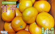 【先行予約】＜甘平 約4kg 家庭用＞ 果物 くだもの オレンジ フルーツ かんぺい カンペイ 柑橘 みかん ミカン 蜜柑 季節限定 期間限定 特産品 産地直送 山本果樹園 西宇和 三瓶産 愛媛県 西予市【常温】『2027年1月下旬～3月上旬迄に順次出荷予定』