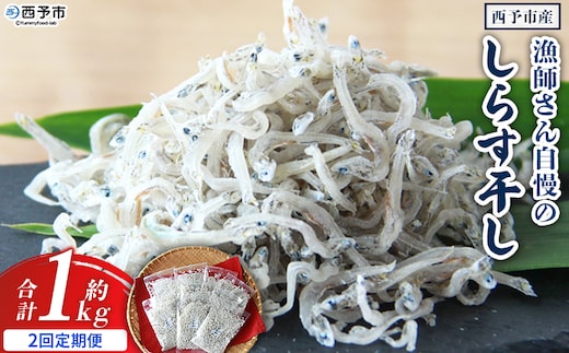 ＜漁師さん自慢のしらす干し 合計1kg 2回定期便＞ 定期便 シラス 魚介類 さかな 海産物 海鮮 海の幸 小分け 国産 ご飯のお供 丼 晩酌 おかず 特産品 濱田水産 愛媛県 西予市 【冷凍】『お申込み月の翌月より配送を開始します』