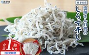 ＜漁師さん自慢のしらす干し 合計1kg 2回定期便＞ 定期便 シラス 魚介類 さかな 海産物 海鮮 海の幸 小分け 国産 ご飯のお供 丼 晩酌 おかず 特産品 濱田水産 愛媛県 西予市 【冷凍】『お申込み月の翌月より配送を開始します』