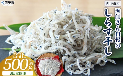 ＜漁師さん自慢のしらす干し 合計500g 3回定期便＞ 定期便 シラス 魚介類 さかな 海産物 海鮮 海の幸 小分け 国産 ご飯のお供 丼 晩酌 おかず 特産品 濱田水産 愛媛県 西予市 【冷凍】『お申込み月の翌月より配送を開始します』