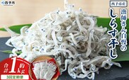 ＜漁師さん自慢のしらす干し 合計1kg 3回定期便＞ 定期便 シラス 魚介類 さかな 海産物 海鮮 海の幸 小分け 国産 ご飯のお供 丼 晩酌 おかず 特産品 濱田水産 愛媛県 西予市 【冷凍】『お申込み月の翌月より配送を開始します』