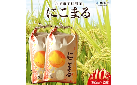 ＜令和7年産 西予市宇和町米 にこまる 約10kg（5kg×2袋）＞ お米 コメ 白米 ご飯 晩稲 大粒 特産品 愛媛県 西予市 【常温】『1か月以内に順次出荷予定』