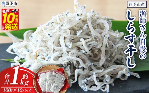 漁師さん自慢のしらす干し１kg（使いやすい小分けパック!！）