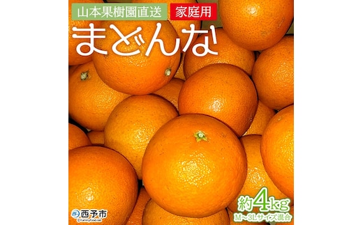 紅まどんなと同品種！＜まどんな 約4kg（家庭用・M～3Lサイズ混合）＞果物 オレンジ フルーツ 柑橘 みかん 愛果28号 マドンナ 自宅用 食べて応援 特産品 産地直送 山本果樹園 西宇和 三瓶産 愛媛県 西予市【常温】『2025年12月上旬～12月下旬迄に順次出荷予定』