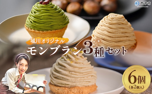 ＜城川オリジナルモンブラン3種セット 合計6個（各種2個入）＞ 栗 スイーツ マロン 抹茶 ケーキ 和栗ペースト 渋皮煮 チーズアパレイユ 粒あん 小豆 スポンジケーキ タルト ダックワーズ メニークエスト 愛媛県 西予市【冷凍】
