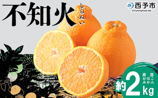 ＜おはこやがつくる おはこデコ（不知火）約2kg（L～3Lサイズ）＞ 果物 フルーツ 柑橘 しらぬい みかん 特産品 西宇和 愛媛県 西予市【常温】