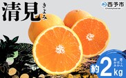 ＜おはこやがつくる 清見 約2kg（L～3Lサイズ）＞ 果物 フルーツ 柑橘 清見タンゴール みかん 特産品 西宇和 愛媛県 西予市 【常温】