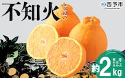 ＜おはこやがつくる おはこデコ（不知火）約2kg（L～3Lサイズ）＞ 果物 フルーツ 柑橘 しらぬい みかん 特産品 西宇和 愛媛県 西予市【常温】