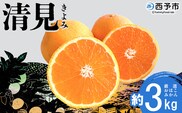 ＜おはこやがつくる 清見 約3kg（L～3Lサイズ）＞ 果物 フルーツ 柑橘 清見タンゴール みかん 特産品 西宇和 愛媛県 西予市 【常温】