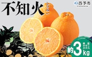 ＜おはこやがつくる おはこデコ（不知火）約3kg（L～3Lサイズ）＞ 果物 フルーツ 柑橘 しらぬい みかん 特産品 西宇和 愛媛県 西予市【常温】