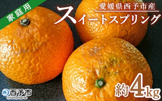 ＜愛媛県西予市産 スイートスプリング 家庭用 約4kg＞ 訳あり ワケアリ 果物 くだもの ミカン 蜜柑 柑橘 甘い おいしい フルーツ サイズ不揃い ご自宅用 果実 果肉 特産品 段畑みかん 愛媛県 西予市【常温】『2026年1月中旬～2月上旬迄に順次出荷予定』