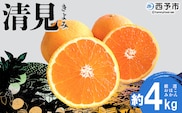 ＜おはこやがつくる 清見 約4kg（L～3Lサイズ）＞ 果物 フルーツ 柑橘 清見タンゴール みかん 特産品 西宇和 愛媛県 西予市 【常温】