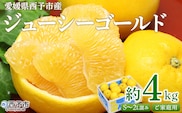＜ジューシーゴールド（河内晩柑） ご家庭用 約4kg＞ 訳あり 果物 フルーツ かわちばんかん じゅーしーごーるど みかん 蜜柑 オレンジ 柑橘 食べて応援 特産品 宇都宮物産 愛媛県 西予市 【常温】『2026年4月中旬～6月中旬迄に順次出荷予定』