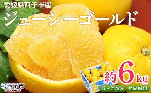 ＜ジューシーゴールド（河内晩柑） ご家庭用 約6kg＞ 訳あり 果物 フルーツ かわちばんかん じゅーしーごーるど みかん 蜜柑 オレンジ 柑橘 食べて応援 特産品 宇都宮物産 愛媛県 西予市 【常温】『2026年4月中旬～6月中旬迄に順次出荷予定』